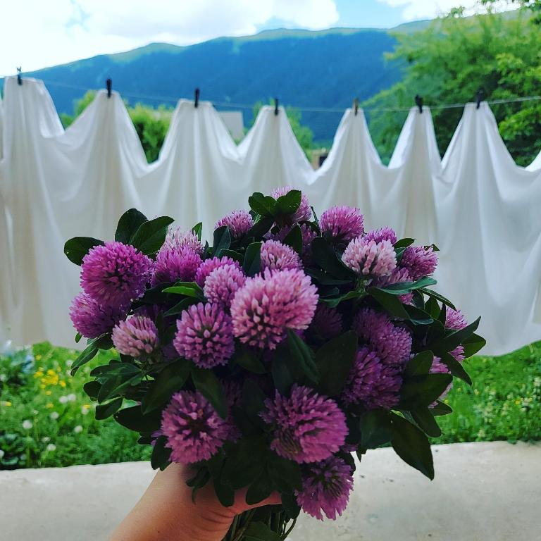 Ioska's House room 2